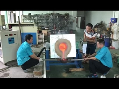 금 백금 팔라듐을 위한 산업적 유도 용융 기계